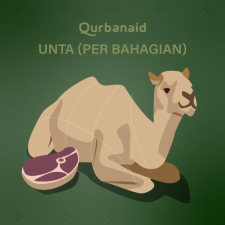 Qurban Unta