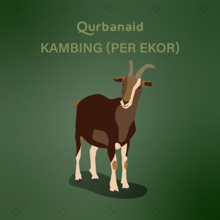 Qurban Kambing